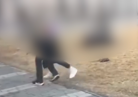Otobüste Başlayan Kavga Çimlerde Son Buldu: Beş Kişi Yakalandı